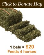 Donate_hay