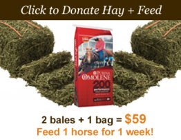 Thanksgiving Feed Drive a success – will continue through the holidays!
