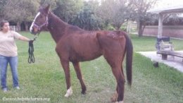 She'sAFreshy_Intake_01092015_web