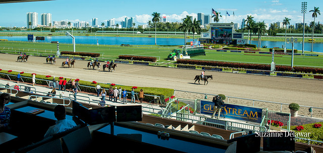 ADayAtTheRaces2014_track