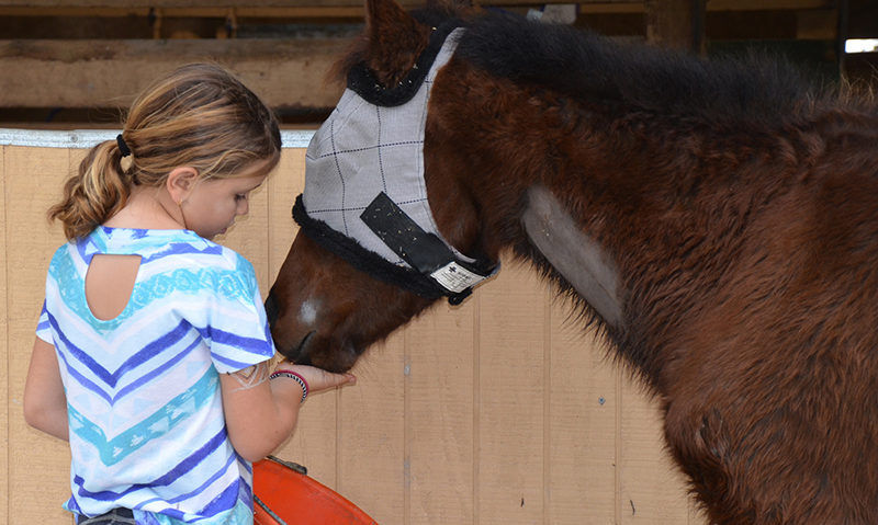 A young SFSPCA volunteer helps nurse Amazing Grace back to health. Photo ©South Florida SPCA Horse Rescue.