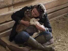 Oh baby, baby! Twin lambs born to newly rescued sheep at South Florida SPCA