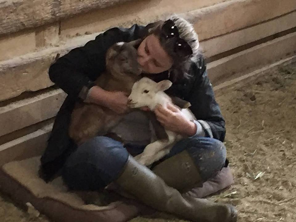 SFSPCA Board Member Kathryn Amoroso with the newborn lambs