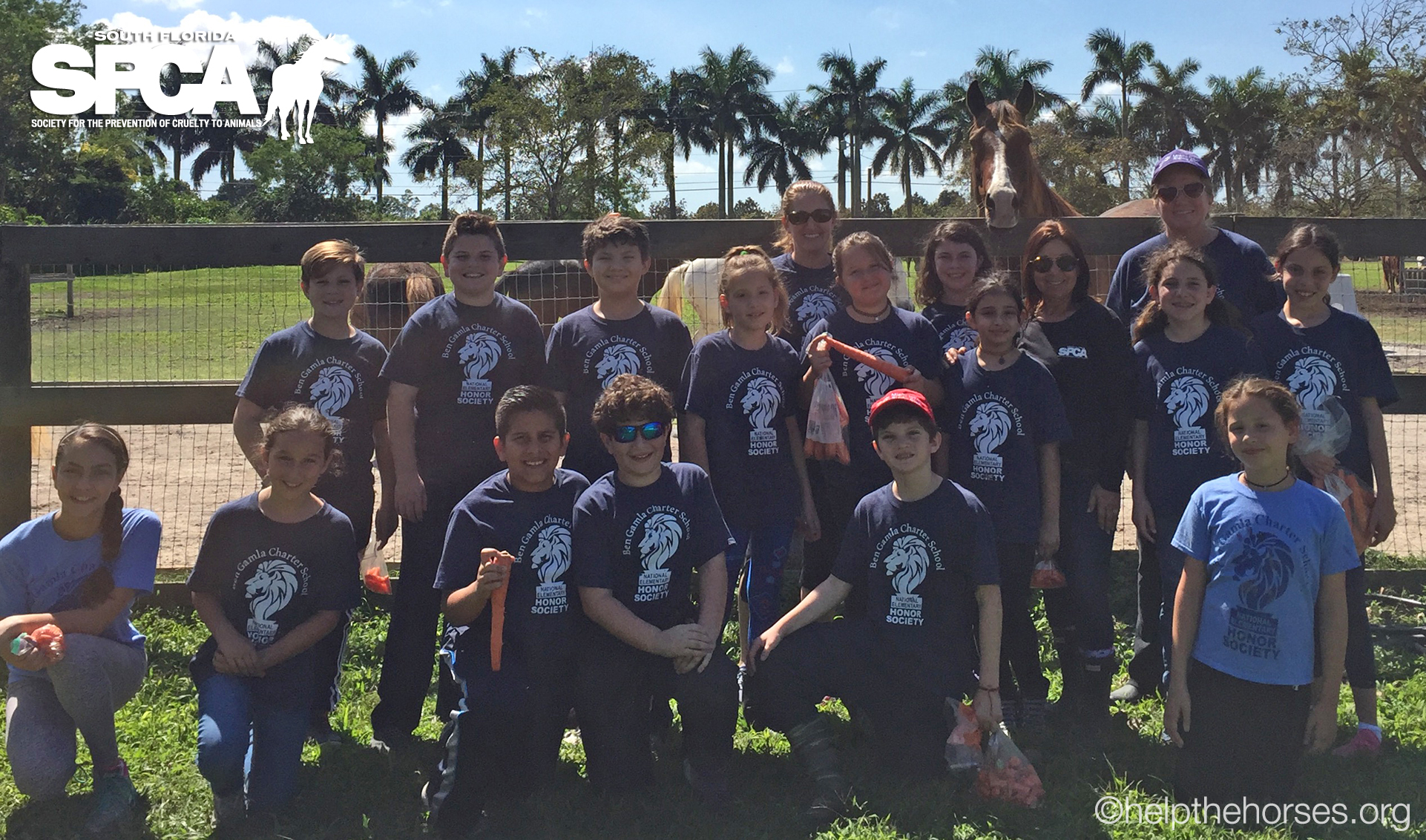 Honor School Students Learn About Horses Hands-on at SFSPCA