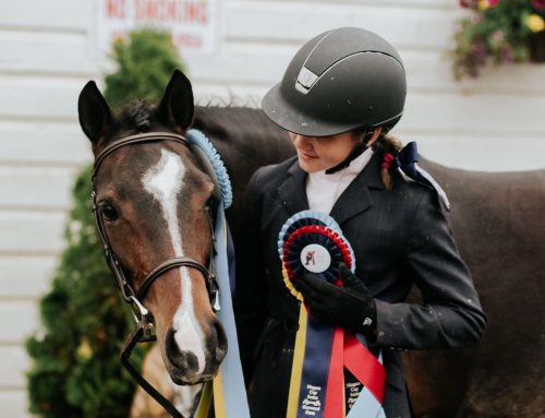 Against All Odds: Rescue Pony Overcomes Abusive Past  and Shines in the Show Ring