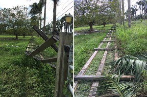 Downed Fencing