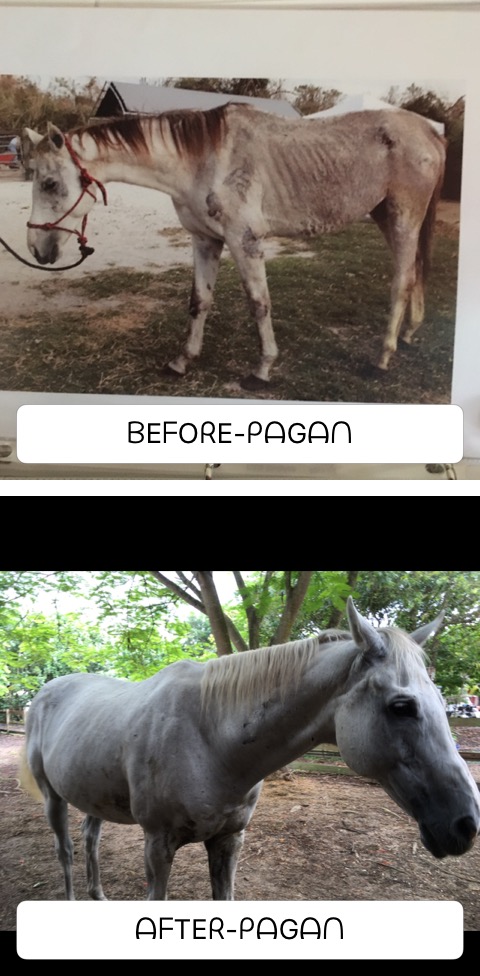 Pagan transformation_IMG_4687