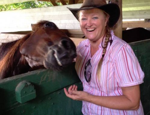 Local trainer Ginger Young Krenz takes reins of SFSPCA volunteer program