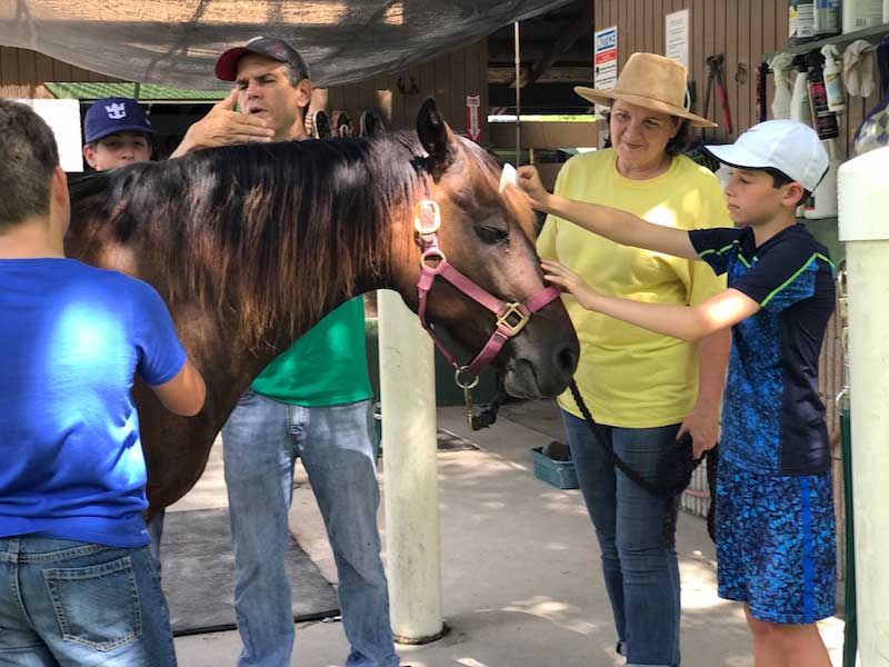 Cushman School students cap fundraising effort with visit to SFSPCA