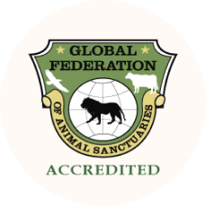 globalFederationAccredited_footerSeal