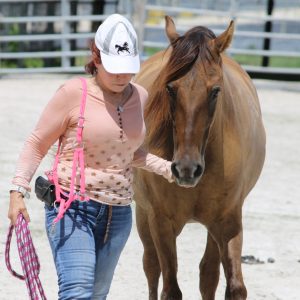 womanWalkingHorse_BecomeMember Become a Member of the South Florida SPCA