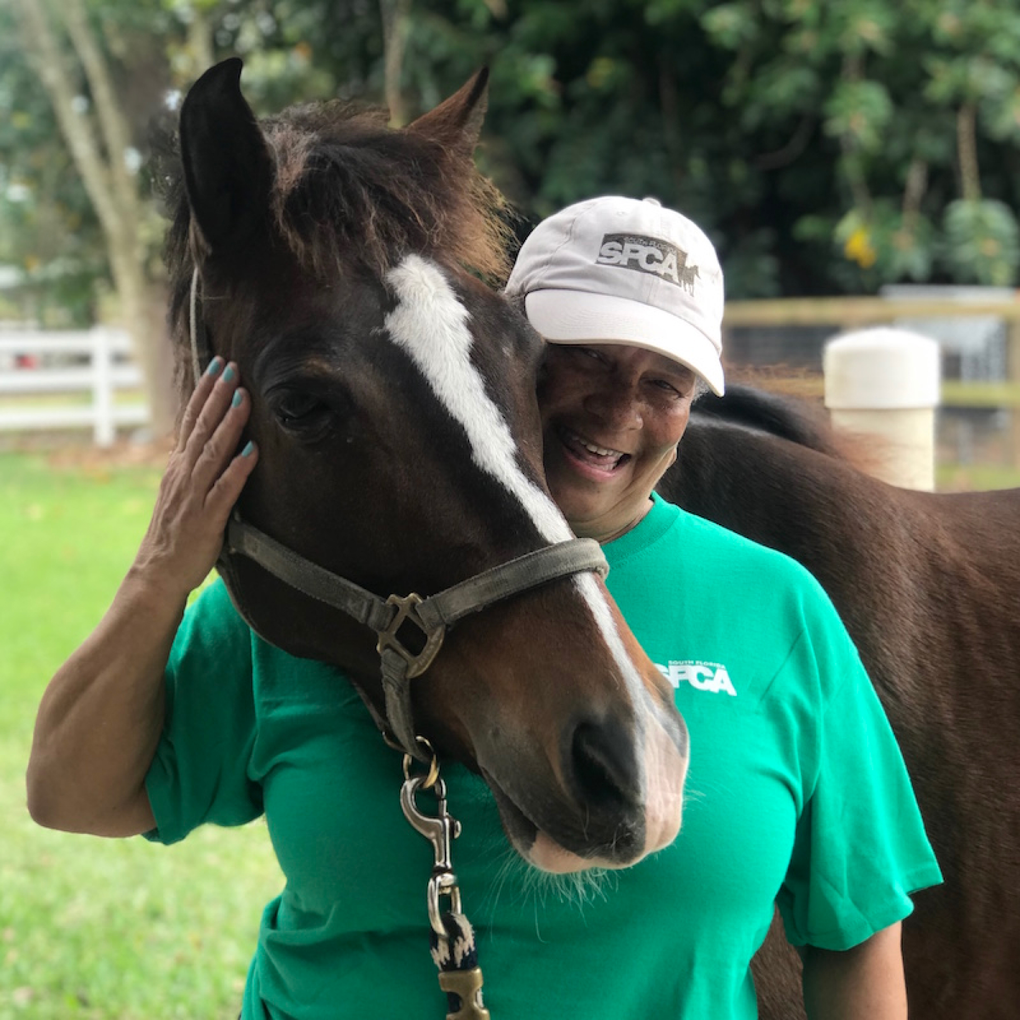 Volunteer at the South Florida Society for the Prevention of Cruelty to Animals