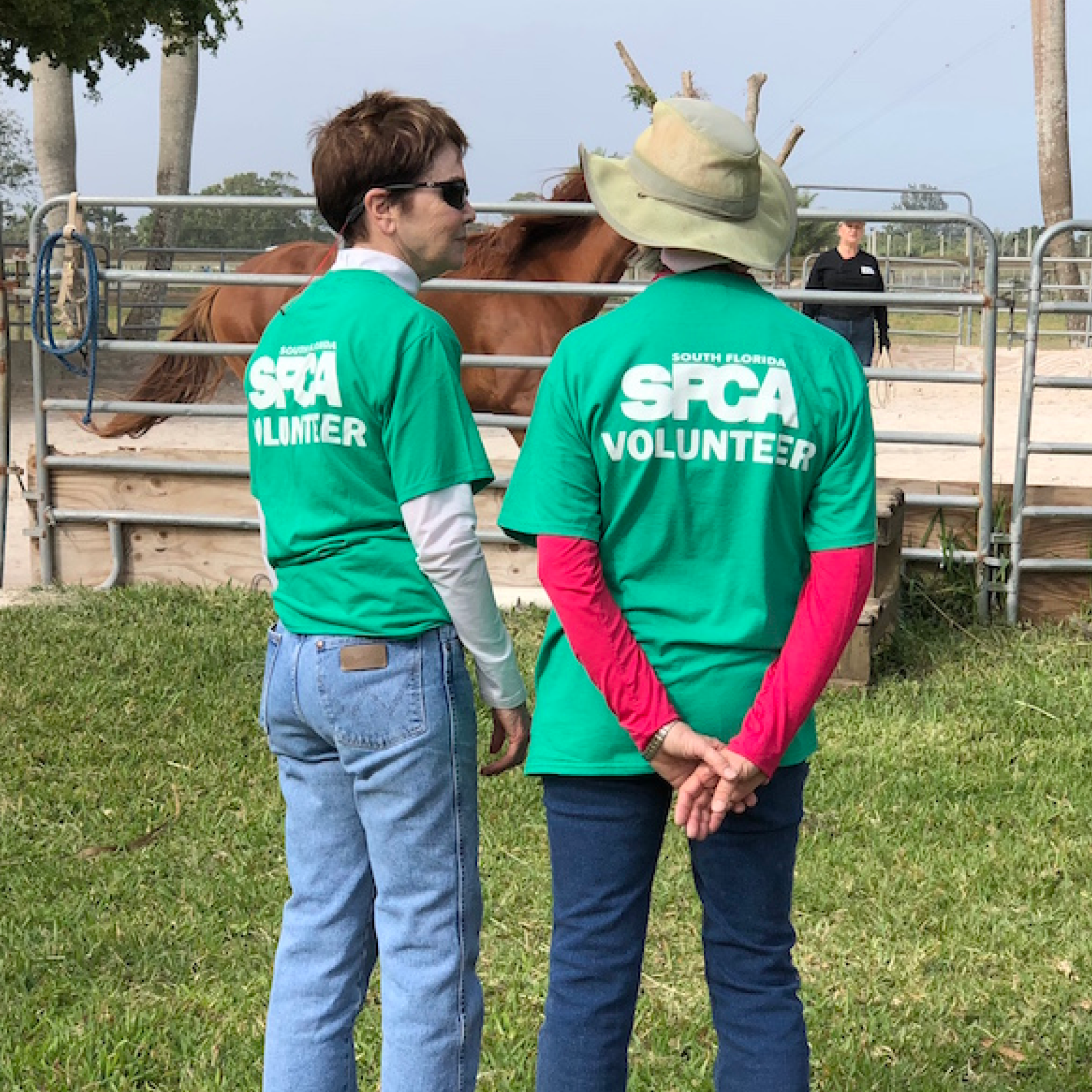 Membership at the SFSPCA
