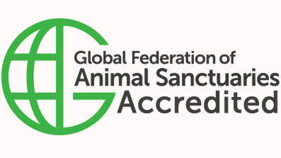 GFAS_Accredited_logoPartners