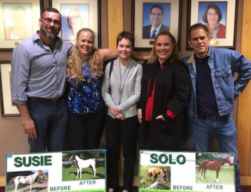 South Florida SPCA Announces New Board Members, and Appoints Executive Director