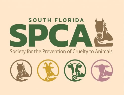 South Florida SPCA Unveils New Brand Design and Logo