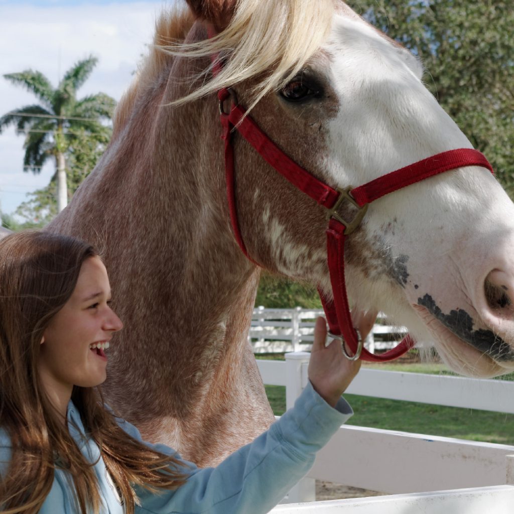 Topper with girl