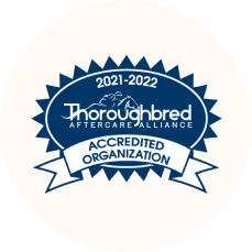 2019-2021-TAA_footerSeal