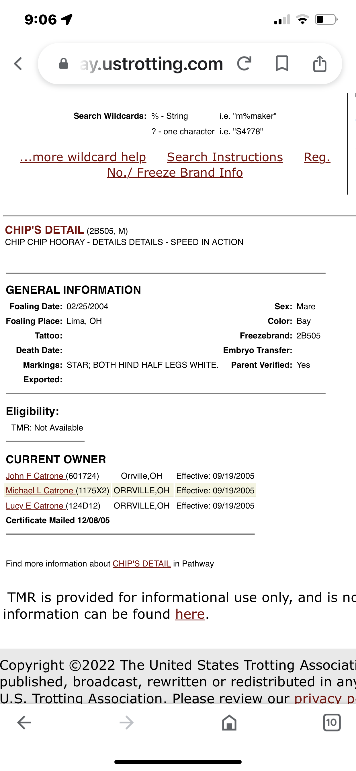 Chips Detail report