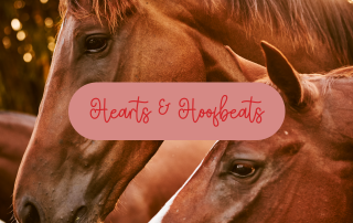 SFSPCA Hearts and Hoofbeats Fundraiser