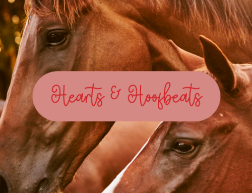 Hearts & Hoofbeats Anniversary Fundraiser