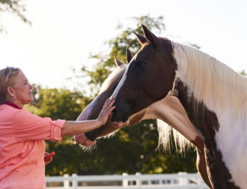 Philanthropy at Work: Talking with Mark Lees and Chris Septer