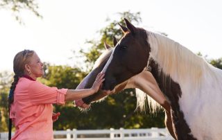 chris and horses