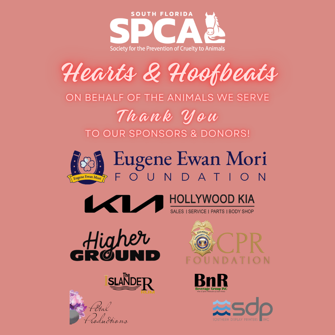 South Florida SPCA Hearts and Hoofbeats 2024