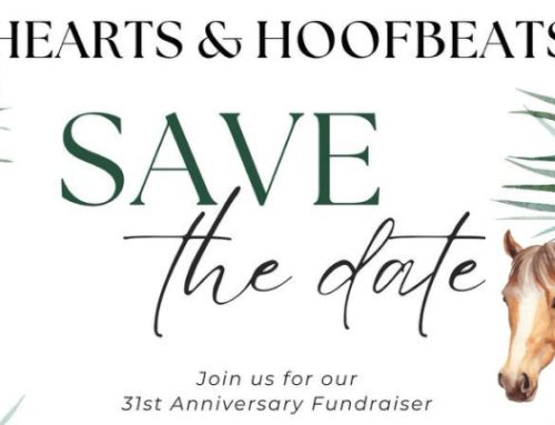 Hearts & Hoofbeats 2024