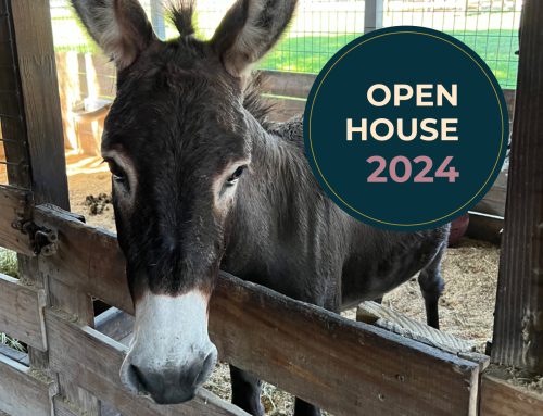 2024 Open House
