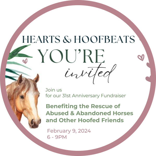 Hearts and Hoofbeats 2024 Fundraiser