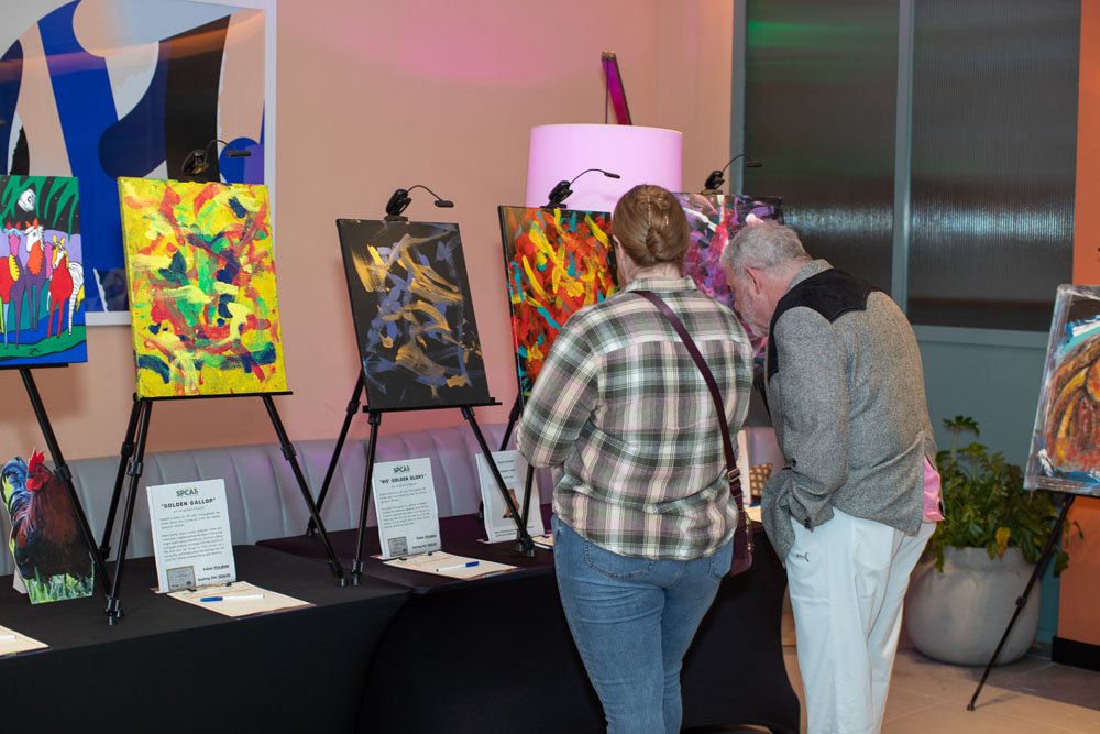 Hearts & Hoofbeats 2024