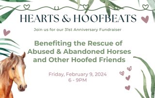 Hearts & Hoofbeats 2024 Fundraiser