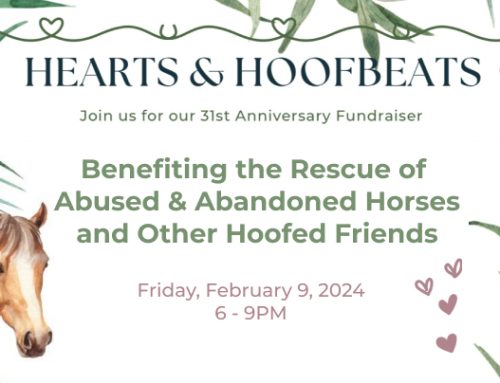 Hearts & Hoofbeats 2024 Fundraiser