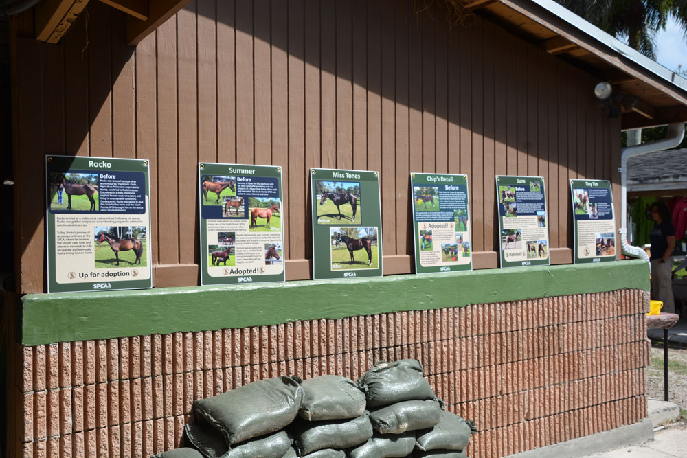 South Florida SPCA Open House 2024