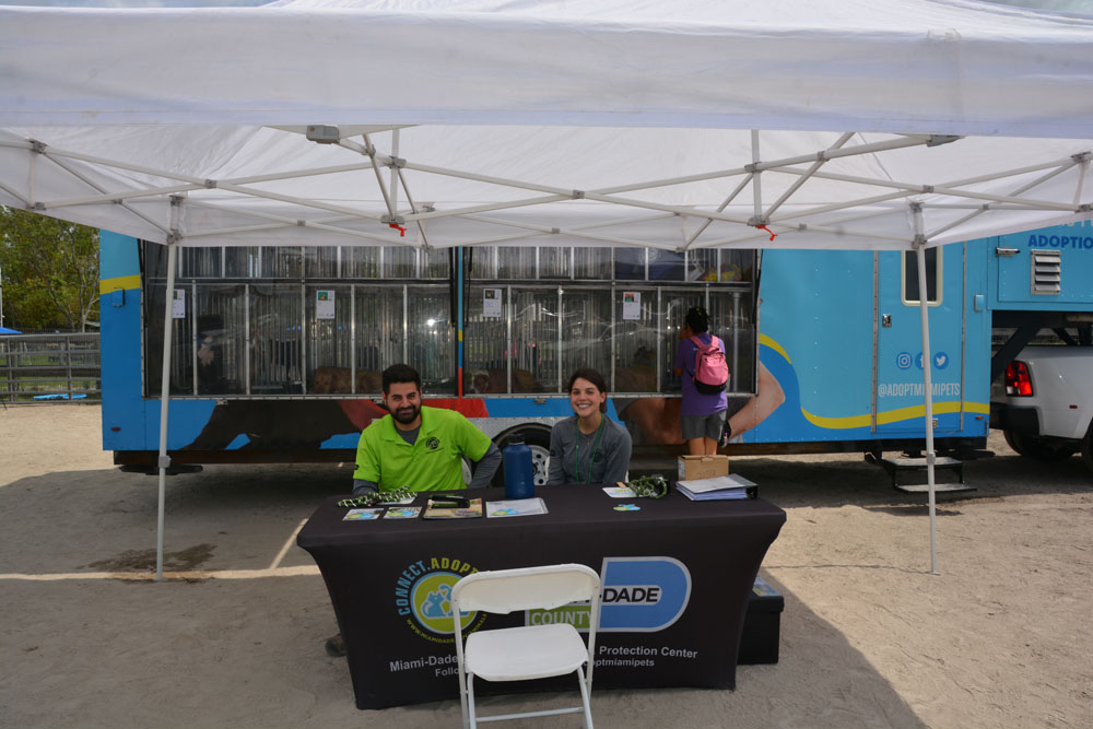 SFSPCA Miami-Dade County Pet Adoption