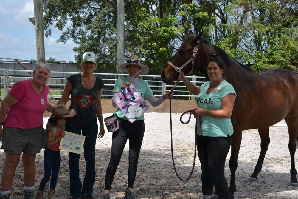 Trainer Rachel and Painting completed by Miami the Horse