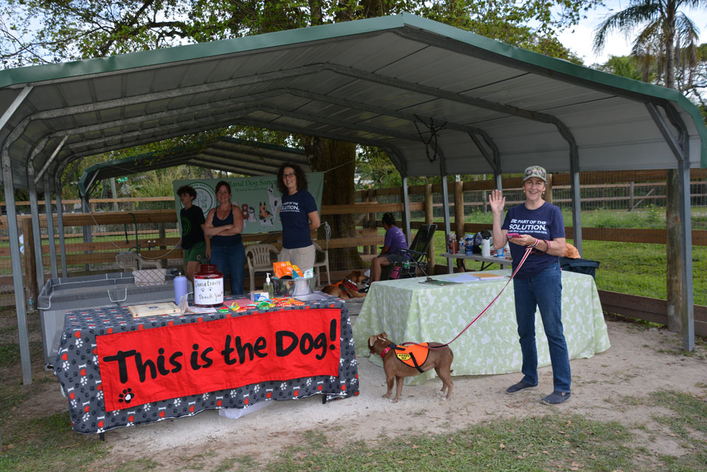 This is the Dog! Tent