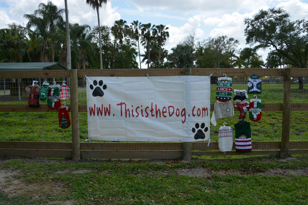 thisisthedog.com