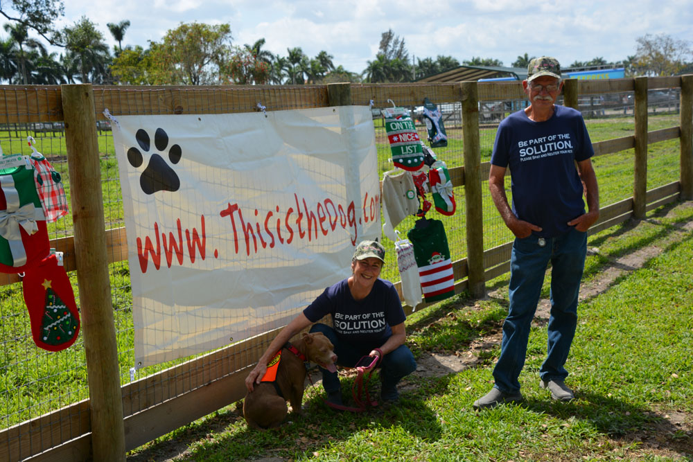 www.thisisthedog.com