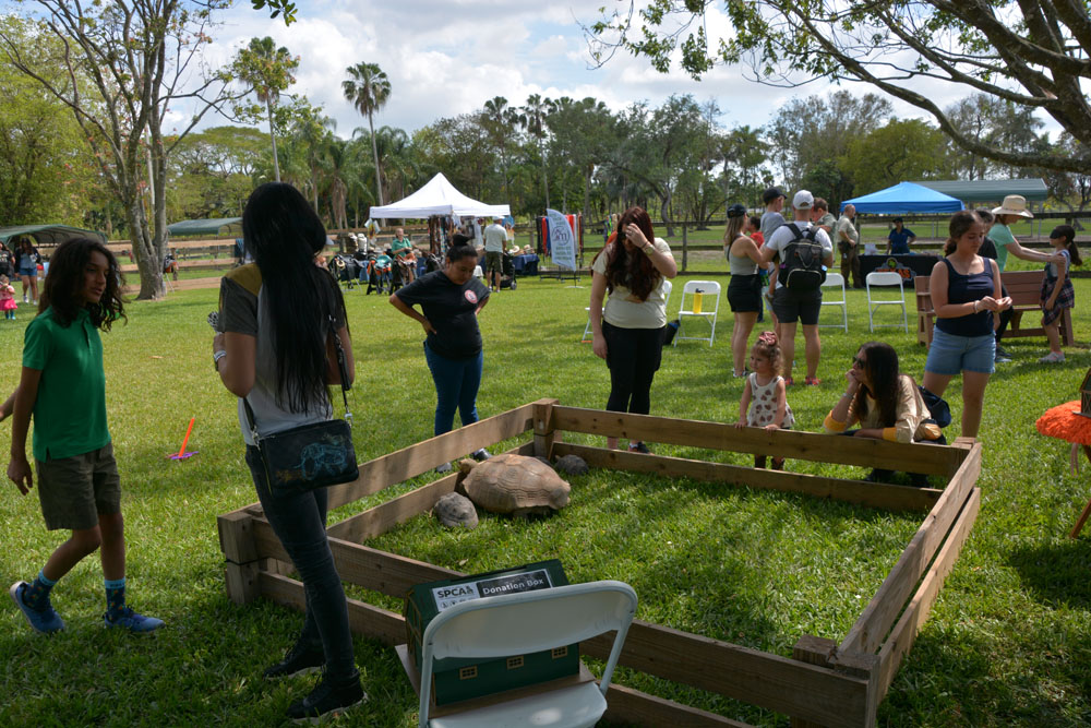 South Florida SPCA Open House 2024 Tortoise enclosure