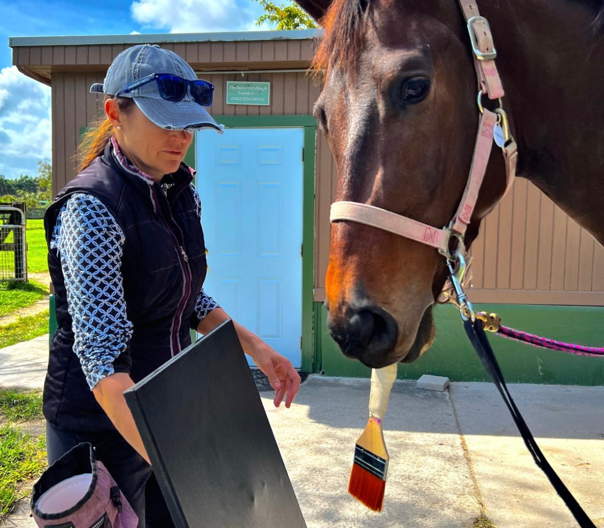 Horse painting canvas