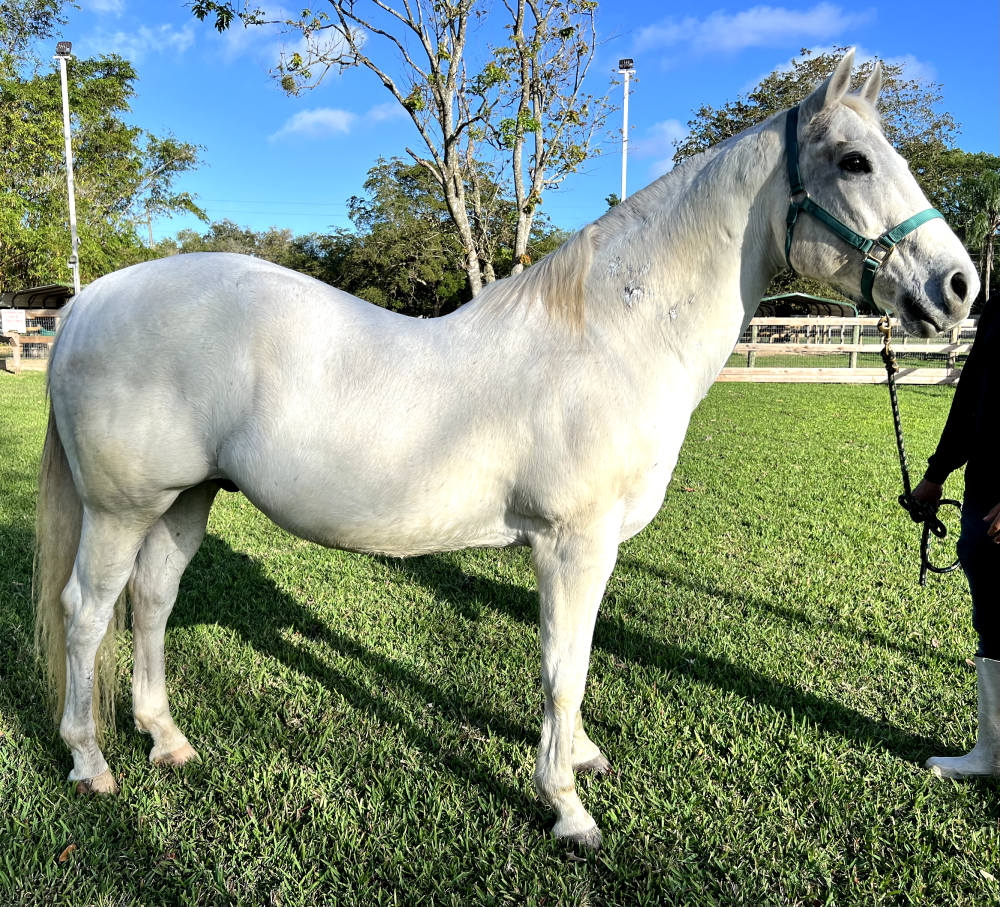 stoneRight Stone Right