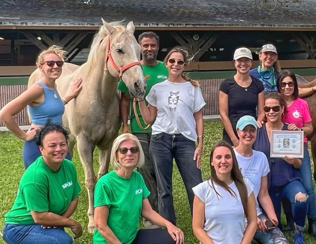 100 Women Who Care with horse