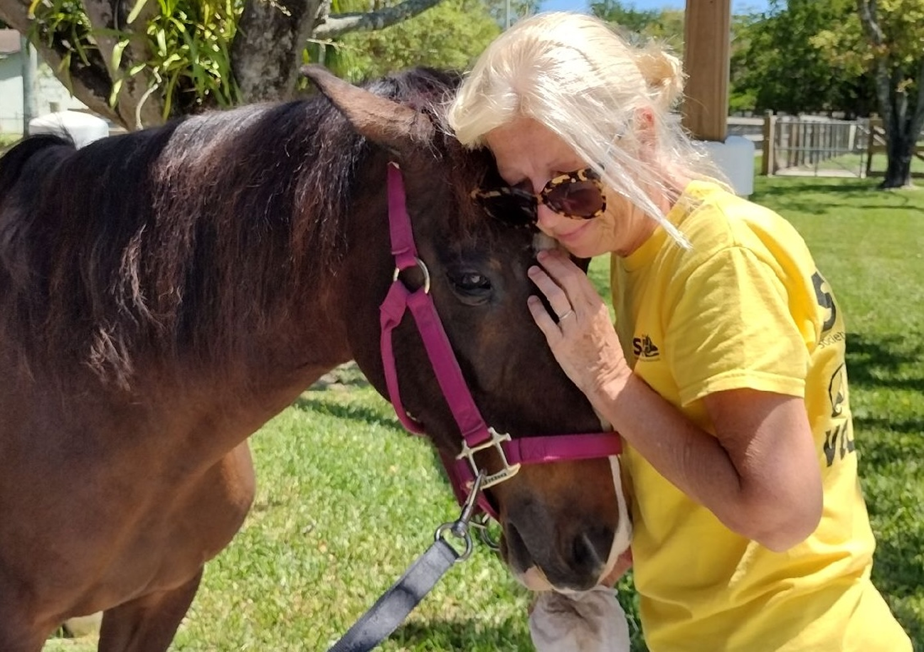 vounteersinaction4 South Florida SPCA Volunteers in Action - Hugging Horse