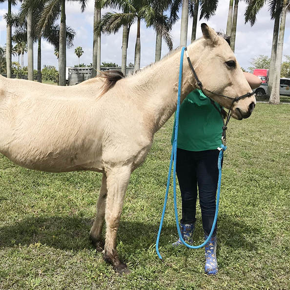 Glory Intake Photo - Adoption Success Stories