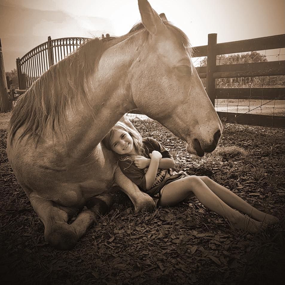 Glory Adopted Horse is happy in new home