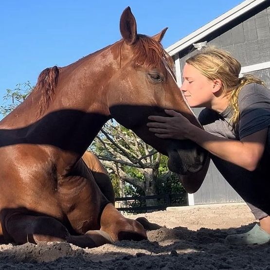 A once malnourished horse is now happy and loved