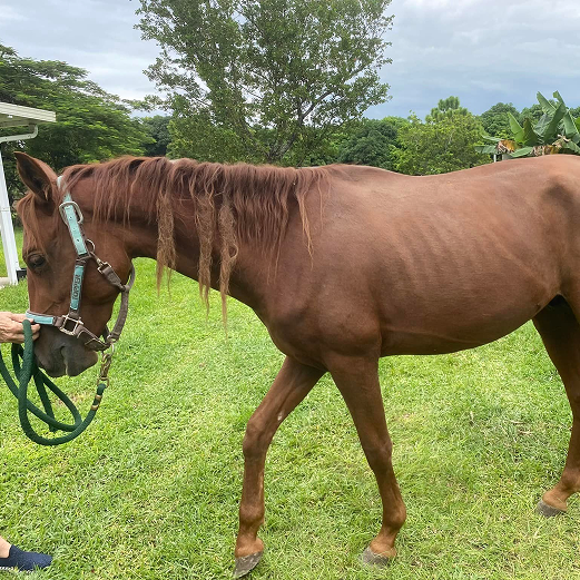 Rip Wheeler is now happy with his adopted family
