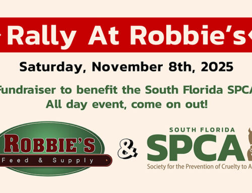 Rally at Robbie’s